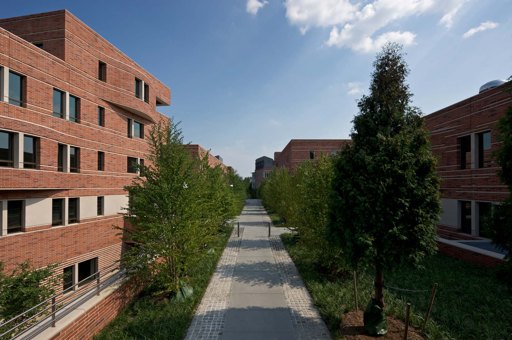 Butler College, Princeton University, Walkway Passage
