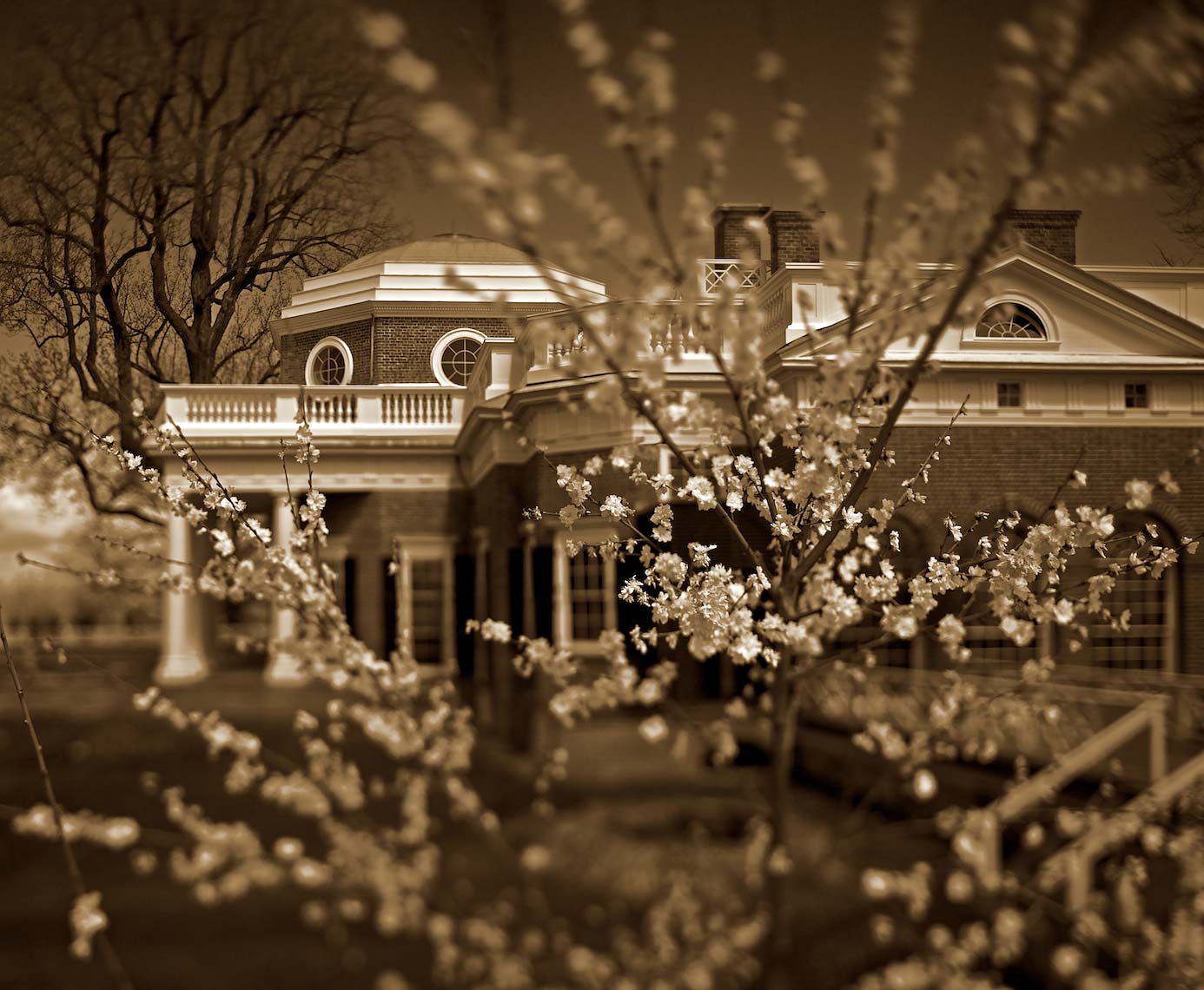 Monticello - Maine House with Cherry Blossoms